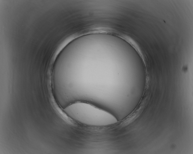 X0000093400859200710120855