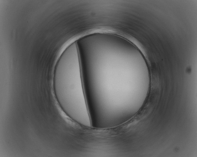 X0000093400861200710120855