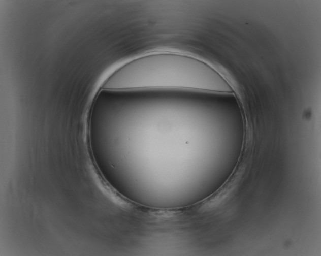 X0000093400862200710120855