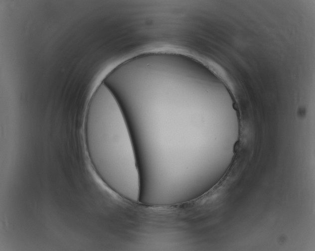 X0000093400863200710120855