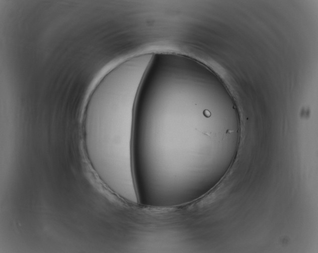 X0000093400864200710120855