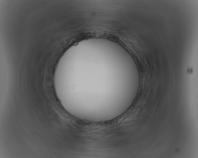 X0000093400865200710120854