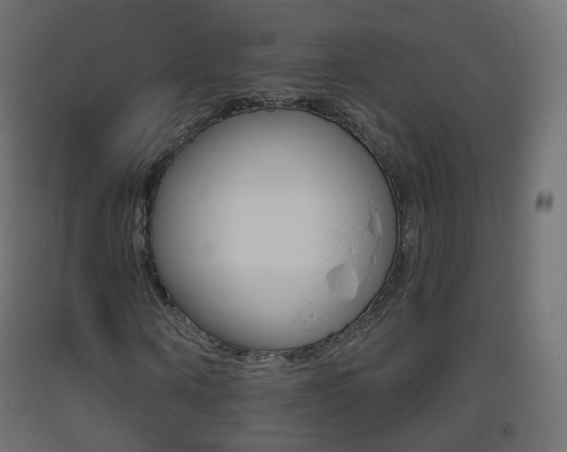 X0000093400866200710120854