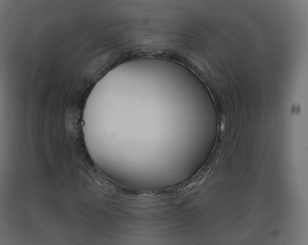 X0000093400867200710120854