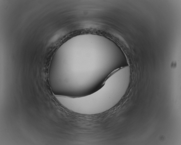 X0000093400869200710120854
