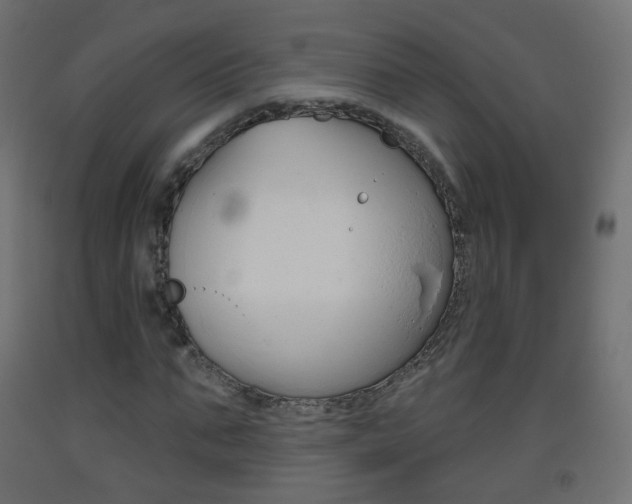 X0000093400871200710120854