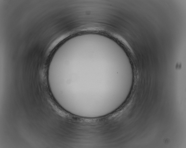 X0000093400874200710120854