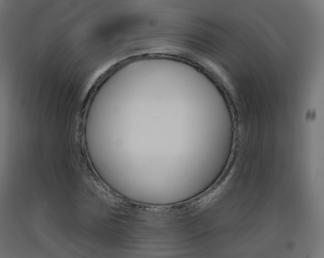 X0000093400875200710120854