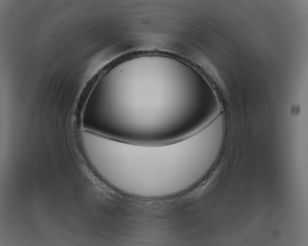 X0000093400876200710120854