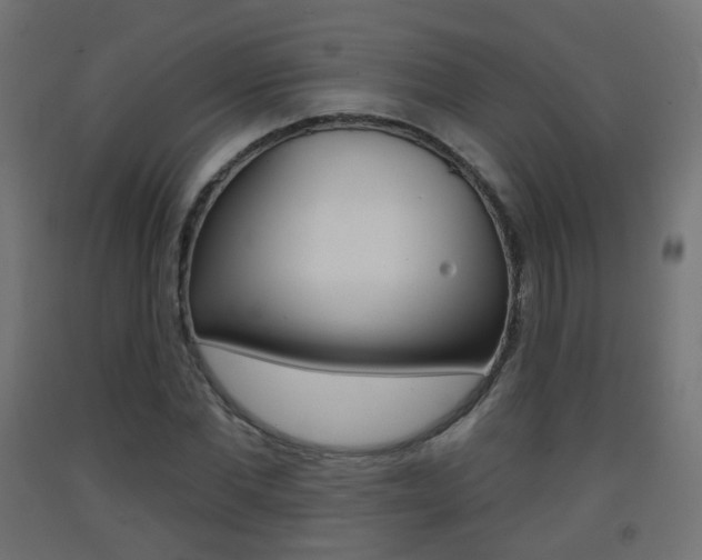 X0000093400877200710120854