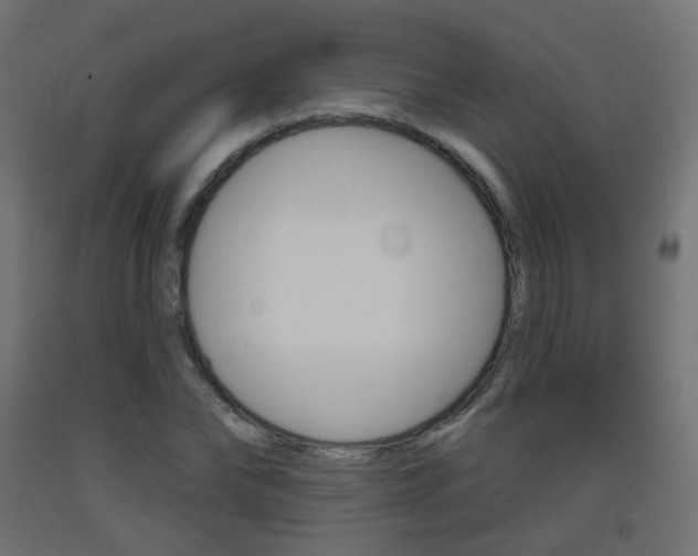X0000093400878200710120854