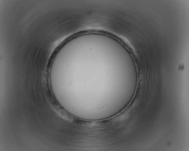 X0000093400879200710120854
