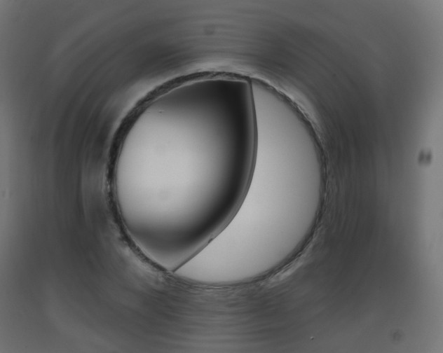 X0000093400880200710120854