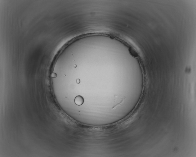 X0000093400883200710120854