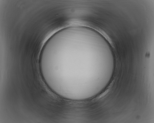 X0000093400885200710120854