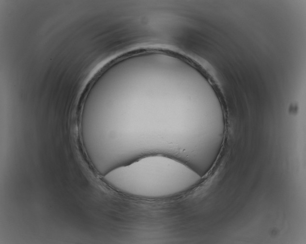 X0000093400887200710120853