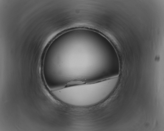 X0000093400888200710120853
