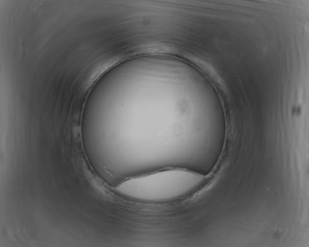 X0000093400889200710120853