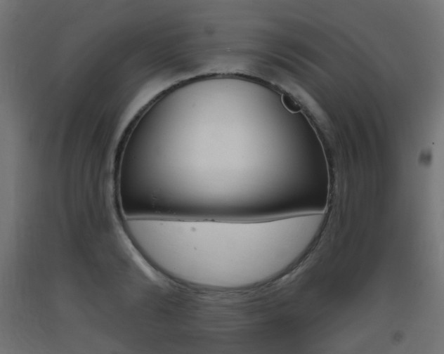 X0000093400894200710120853