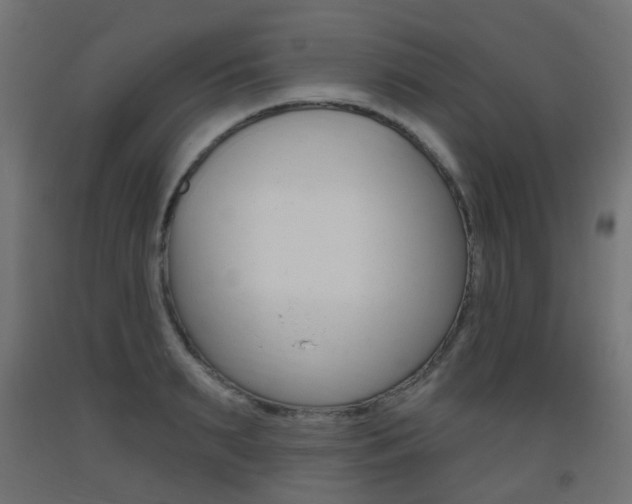 X0000093400895200710120853