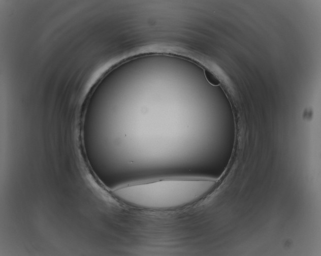 X0000093400896200710120853