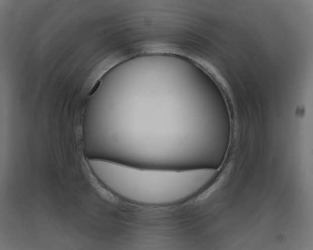 X0000093400897200710120853
