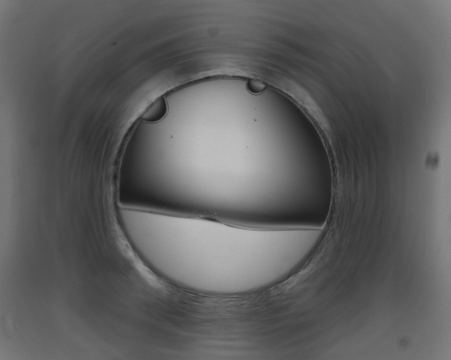 X0000093400898200710120853