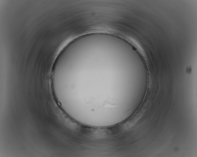 X0000093400899200710120853