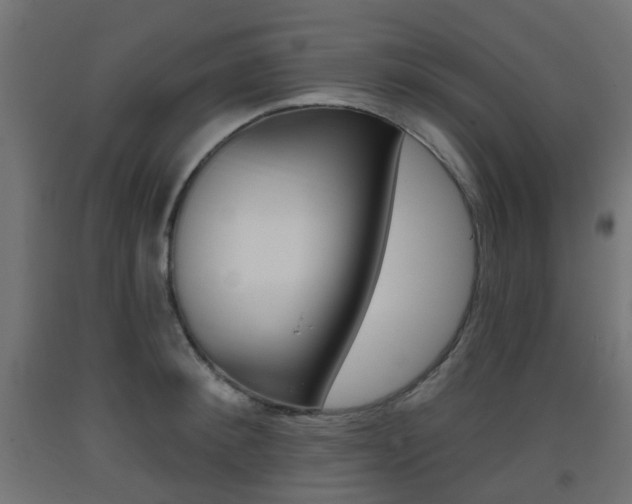 X0000093400900200710120853