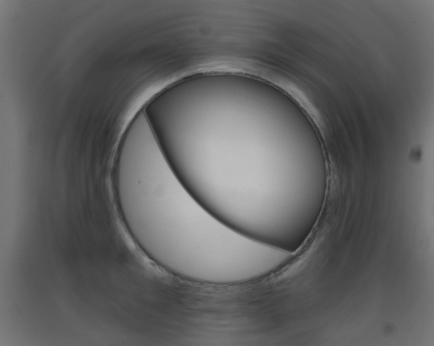 X0000093400901200710120853