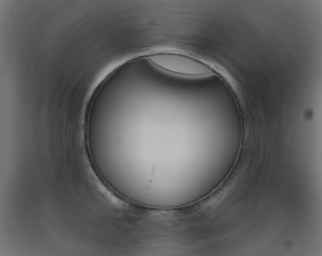 X0000093400902200710120853