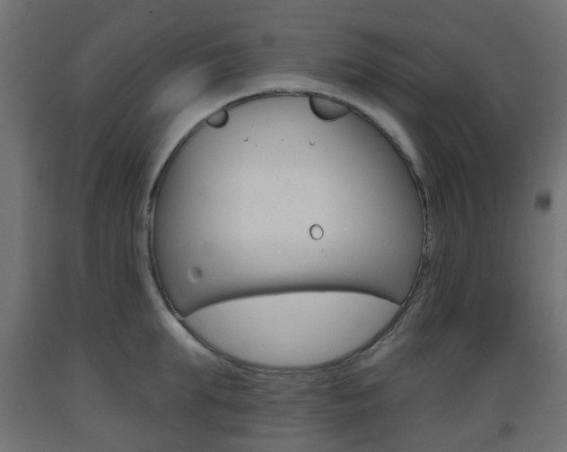 X0000093400903200710120853