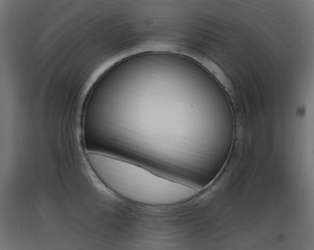 X0000093400904200710120853