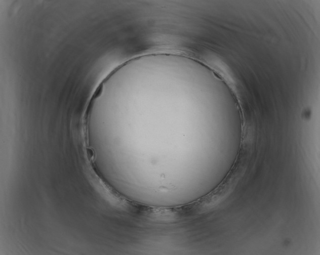 X0000093400907200710120853