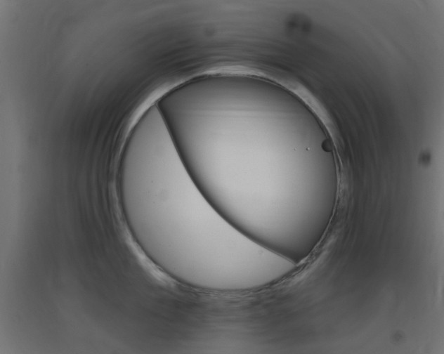 X0000093400909200710120853