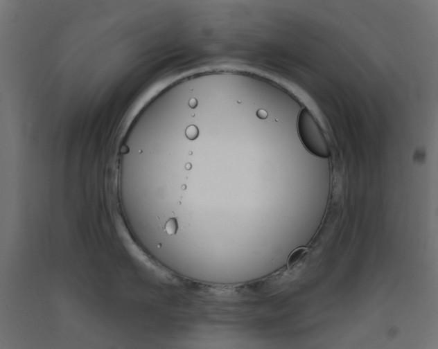 X0000093400911200710120853