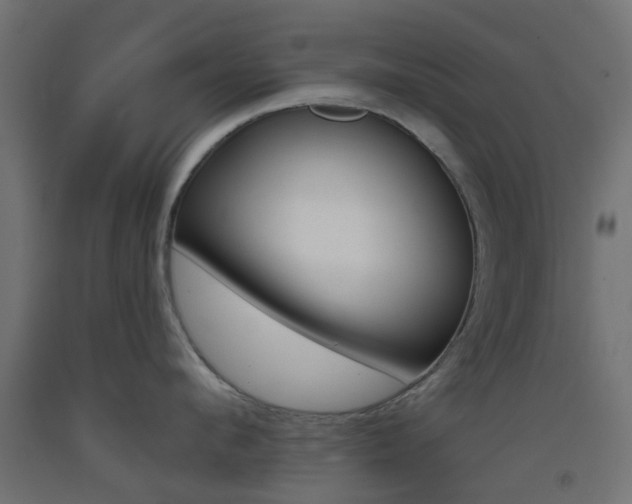 X0000093400912200710120853