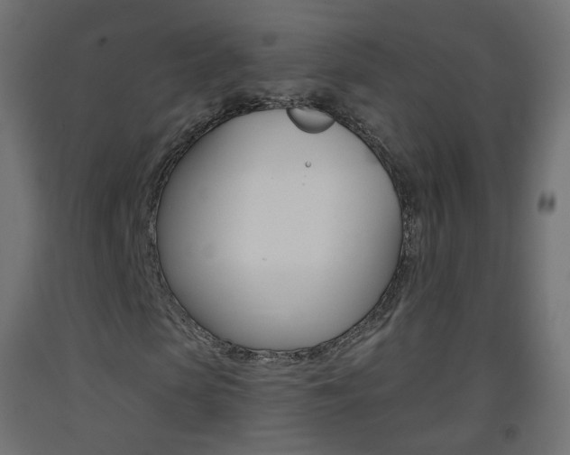 X0000093400913200710120853