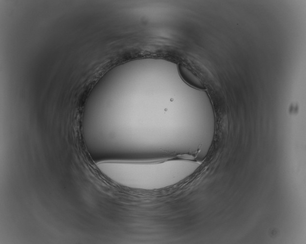 X0000093400914200710120853