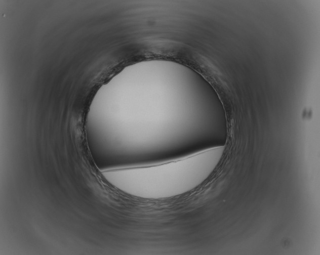 X0000093400915200710120853