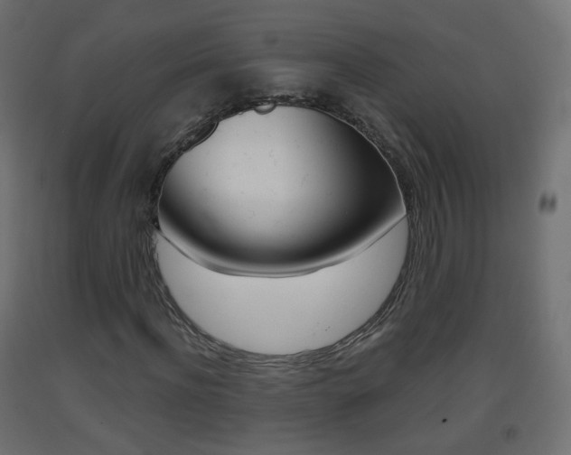 X0000093400916200710120853