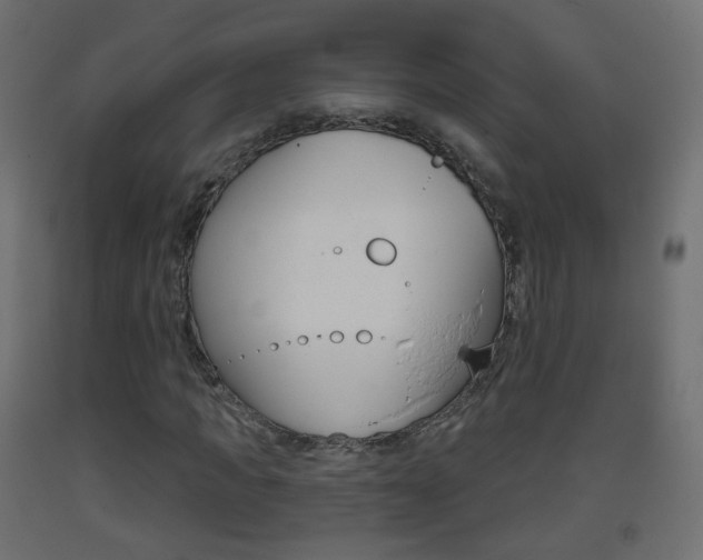 X0000093400917200710120853