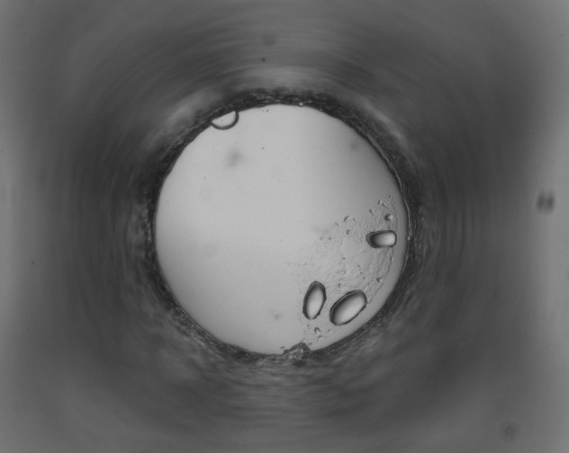 X0000093400918200710120853