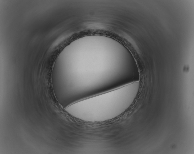 X0000093400919200710120853