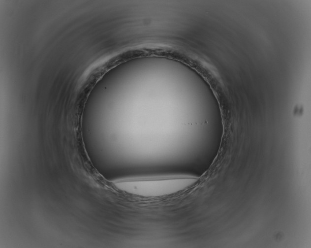 X0000093400920200710120853