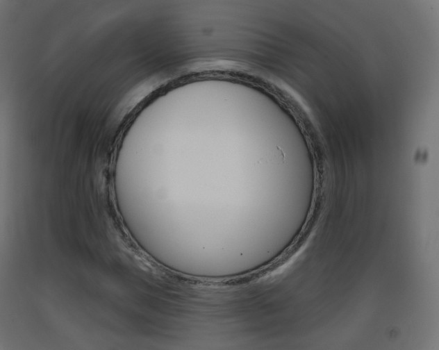 X0000093400921200710120853
