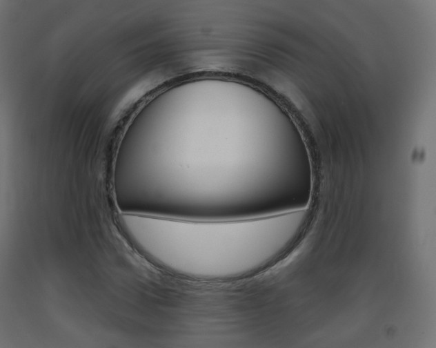 X0000093400922200710120853