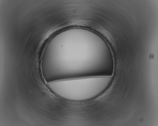 X0000093400923200710120853