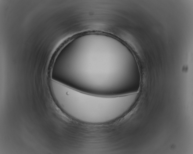 X0000093400924200710120853
