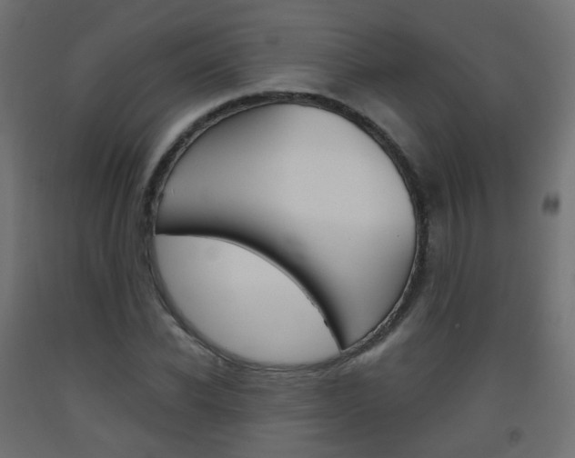 X0000093400926200710120853
